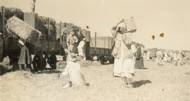 Staff Quarter Sargeant Master Mockett Egypt about 1942